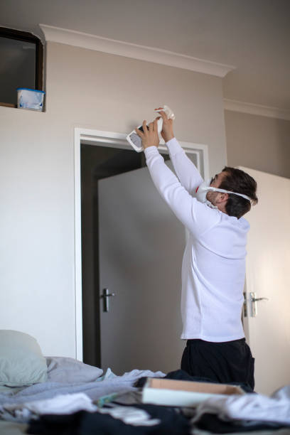 Best Basement Mold Removal  in Center Point, NM